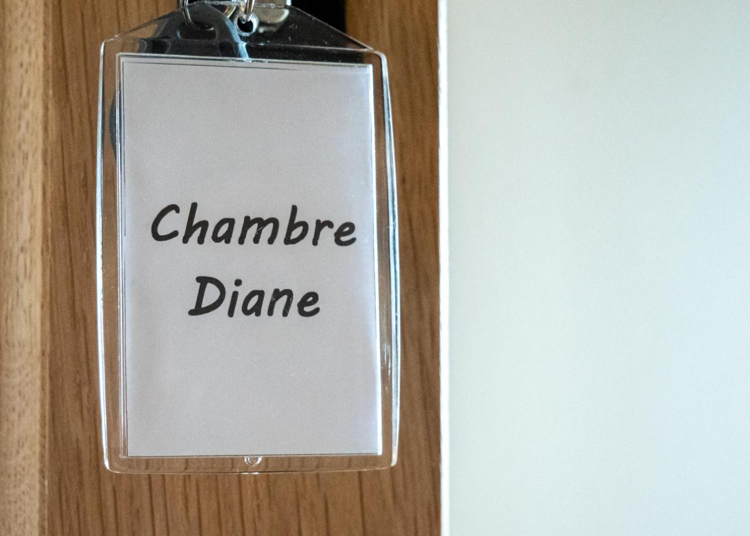 Chateau Du Bertry La Bouexiere Pokoj fotografie